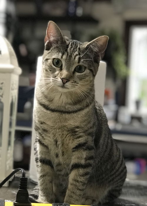 Wilma