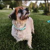 Nellie Rose
