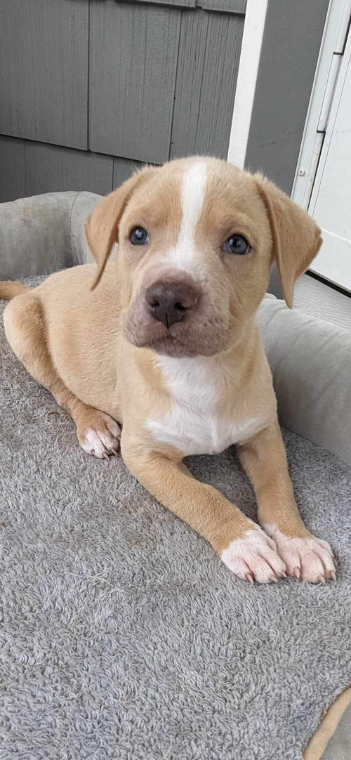 Ernie