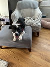 Sam