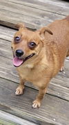 Sadie Mae