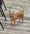 Sadie Mae