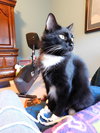 Lottie - Photo 2