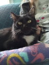 Lottie - Photo 4