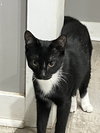 Stripe - Photo 5
