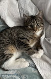 Simon - Photo 1