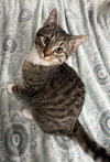 Simon - Photo 3