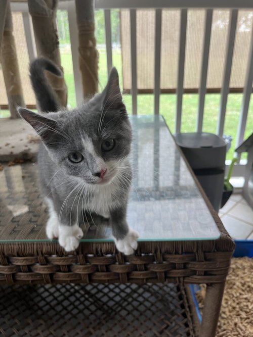 Micah photo 6