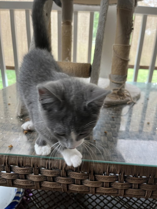 Micah photo 8