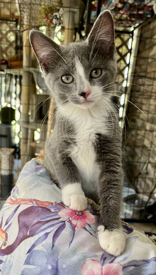Micah photo 2
