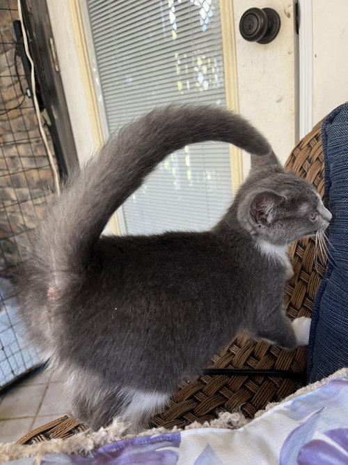 Micah photo 4