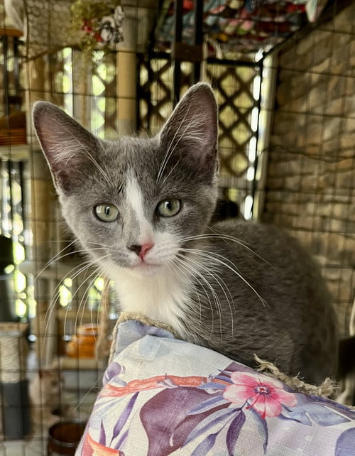Micah photo 5