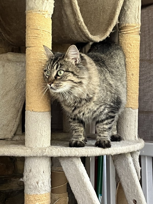 Esther