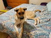 Charli - Photo 3