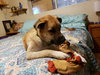 Charli - Photo 4