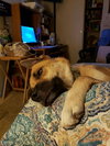 Charli - Photo 5