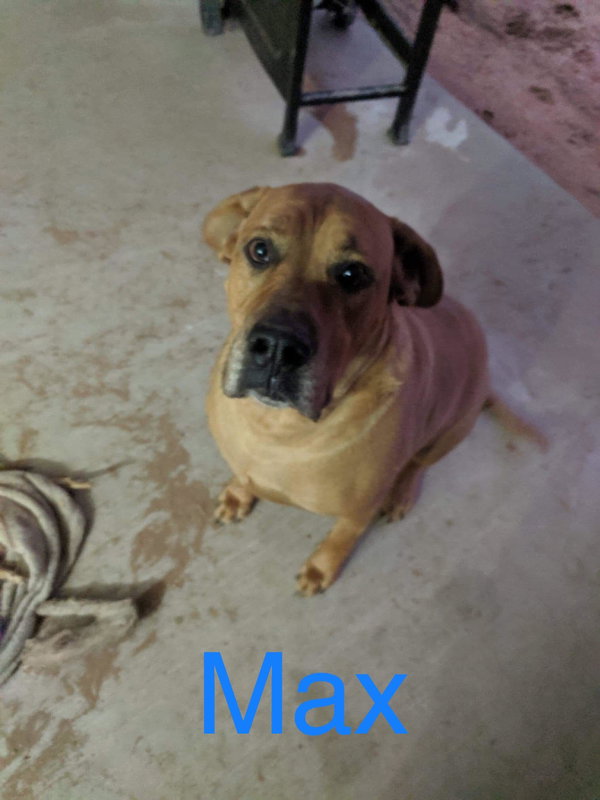 Max