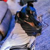 adoptable Dog in Vail, AZ named Ace