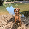 Carter - Photo 4