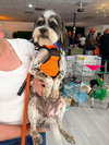 Taz - Photo 2