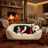Archie - Photo 3