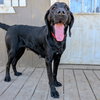 Maggie Mae - Photo 3