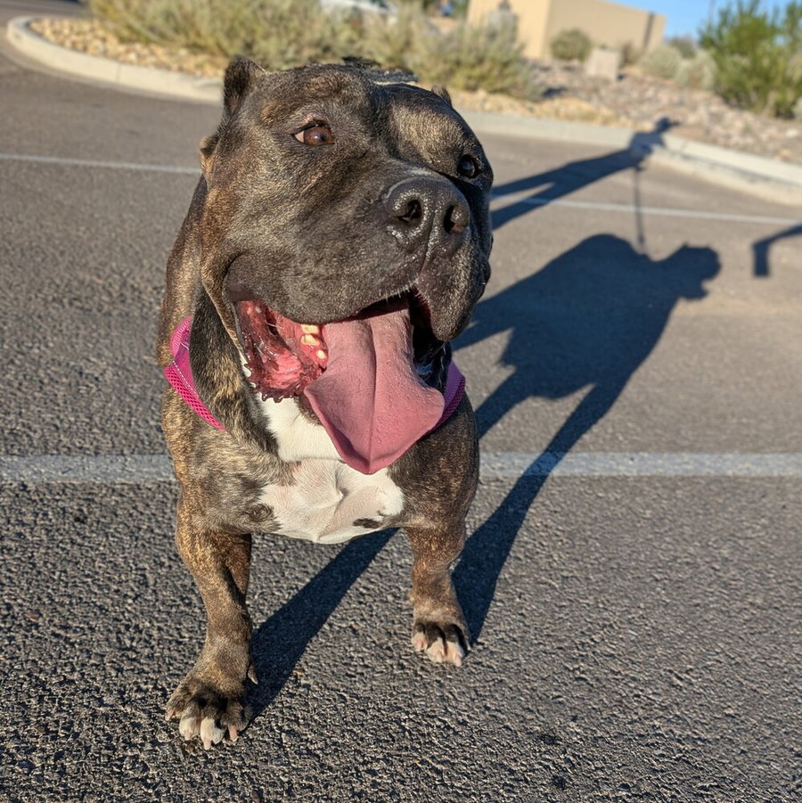 Fiona