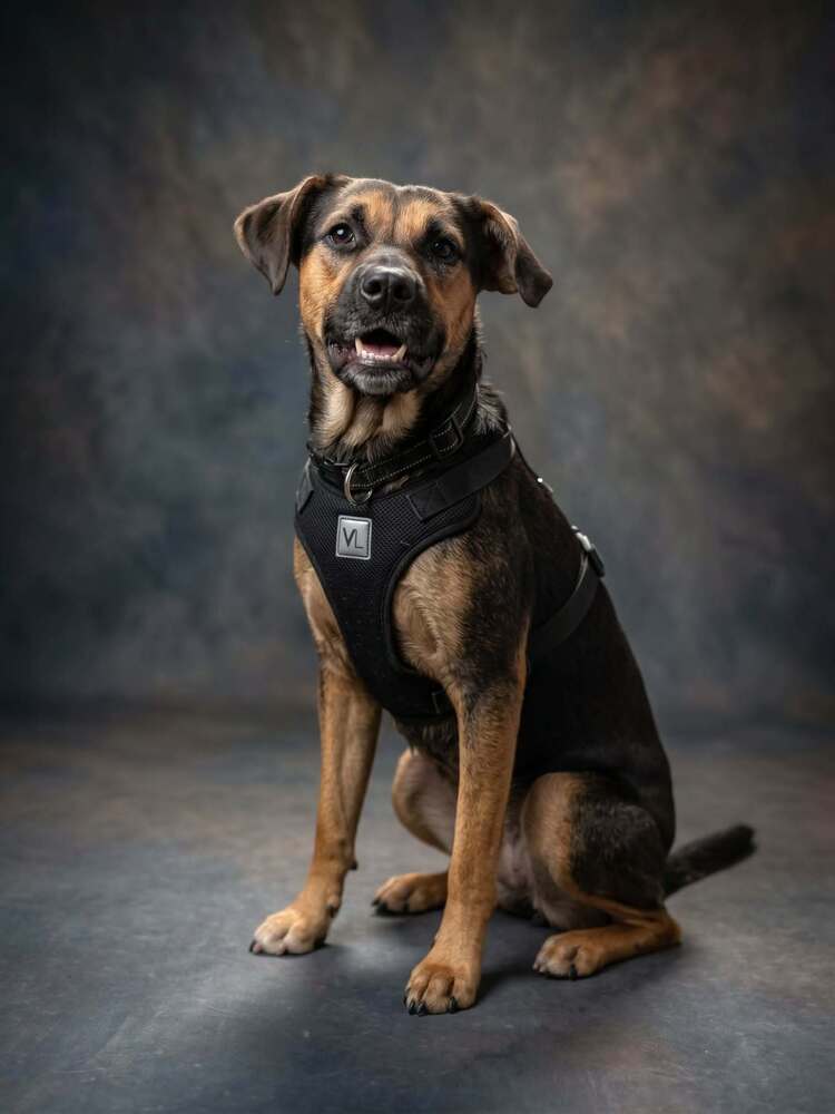 Nova