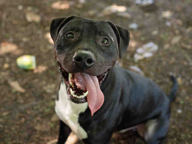 OTIS