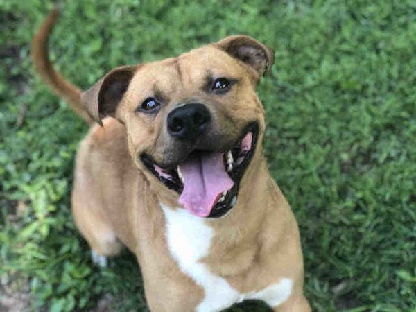 MAXIMUS