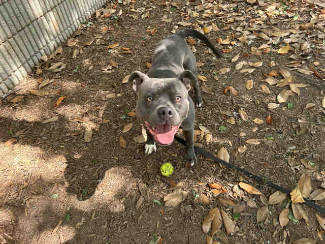 Roscoe