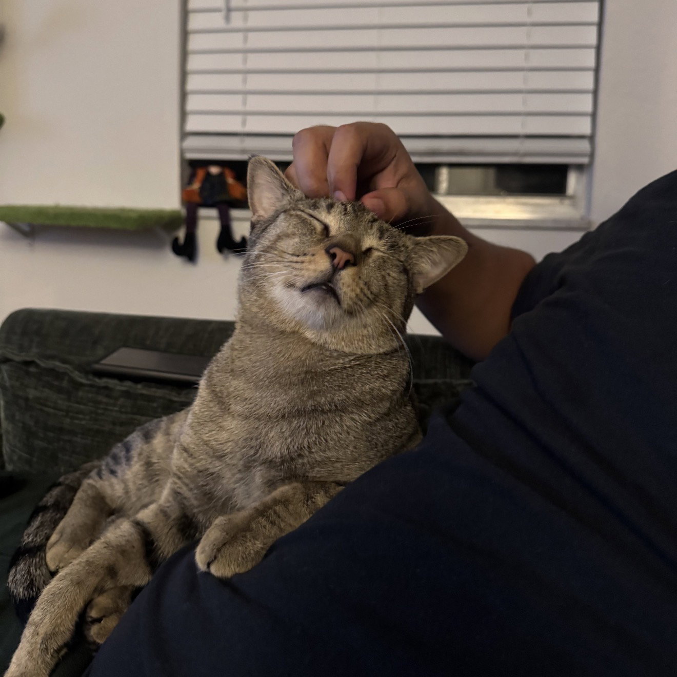 Bubba