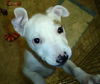 Lucy
