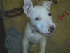 Lucy