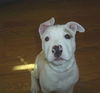 Lucy