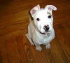 Lucy
