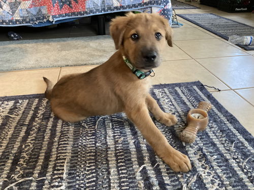 Copper