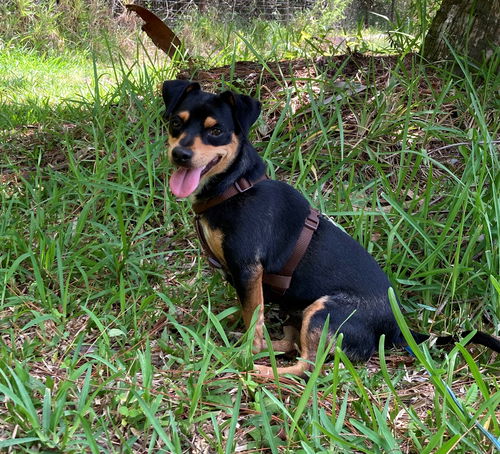 Mindy
