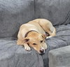 Apple - Photo 2