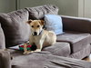 Apple - Photo 13