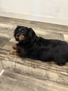 Tuukka - Photo 1