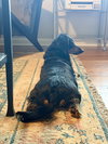 Tuukka - Photo 2