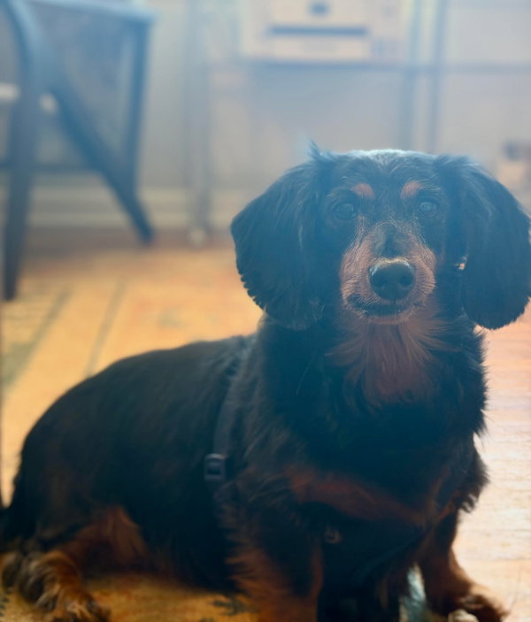 Tuukka
