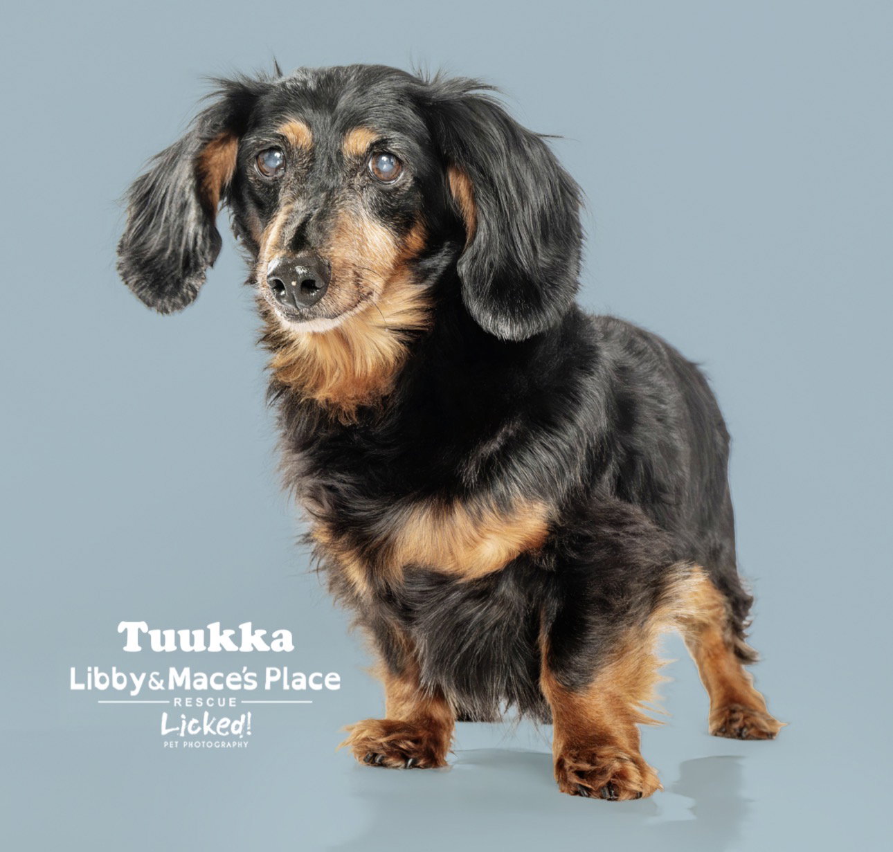 Tuukka