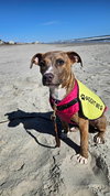 Willa Aka Bunny - Photo 3