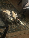 Celia - Photo 3