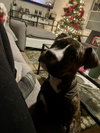 Celia - Photo 5