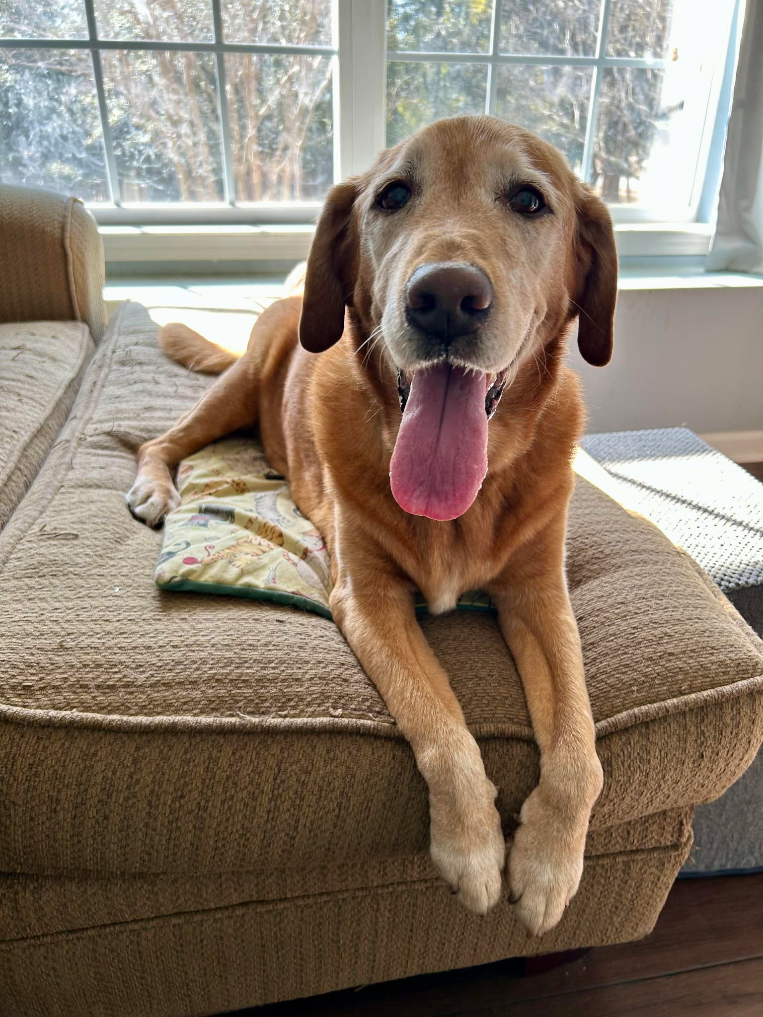 Bella