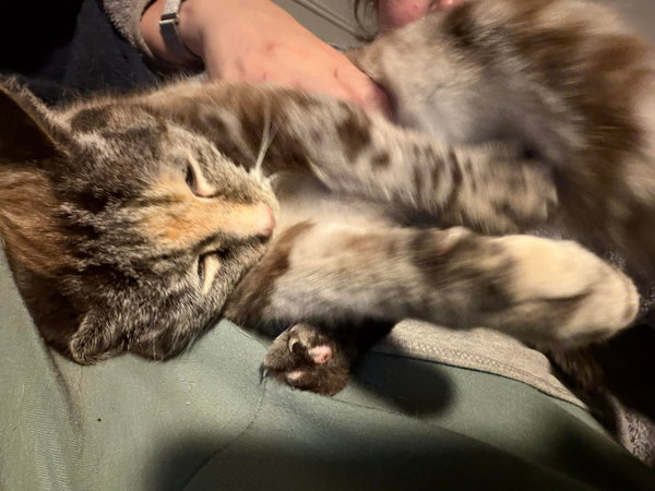 Precious
