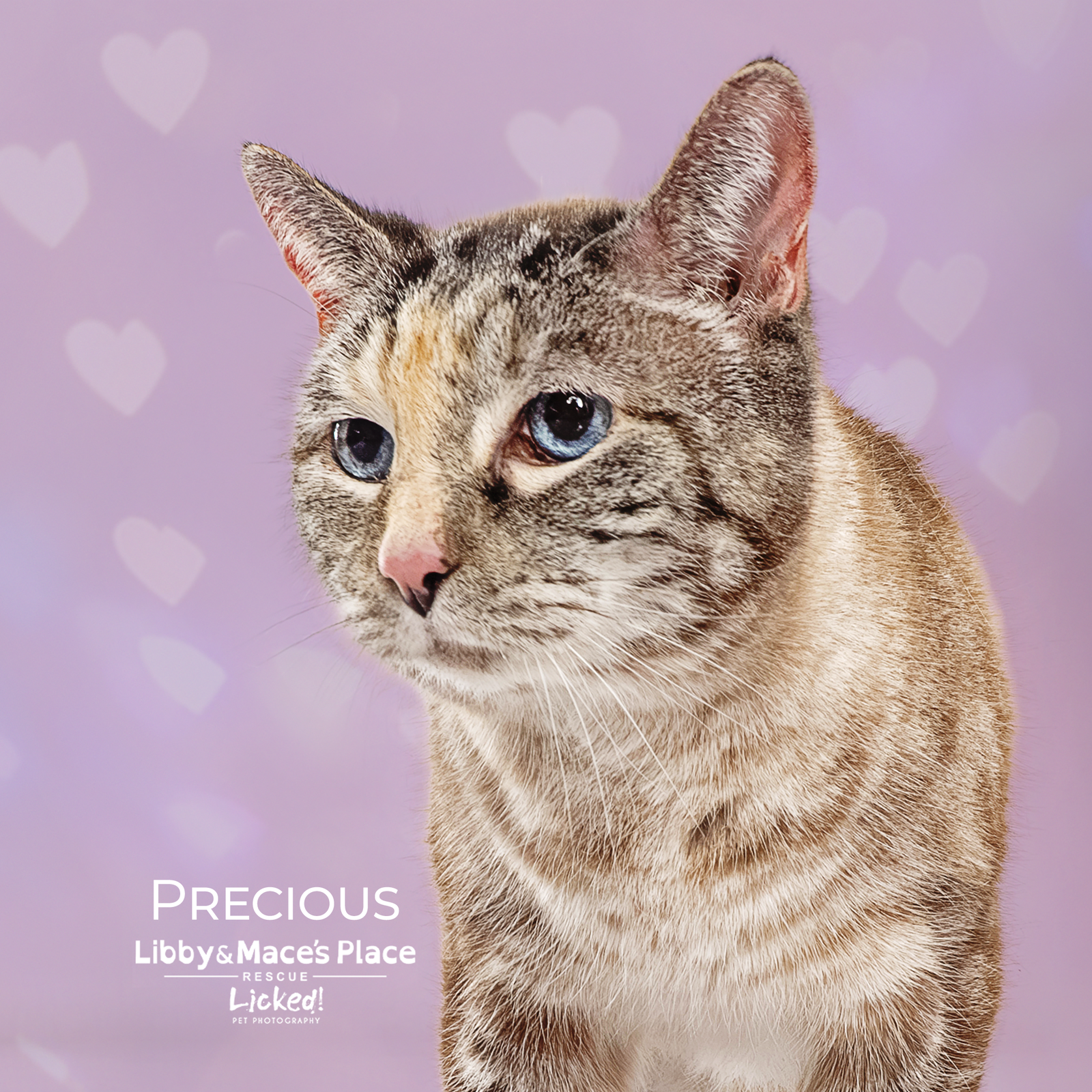 Precious